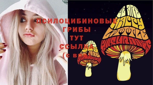 бошки Баксан