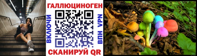 наркошоп  Певек  Галлюциногенные грибы Cubensis 